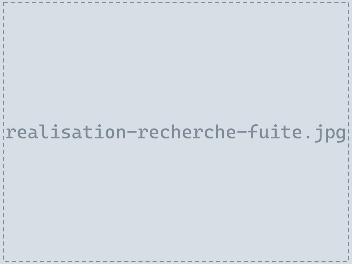 Recherche et réparation de fuite encastrée